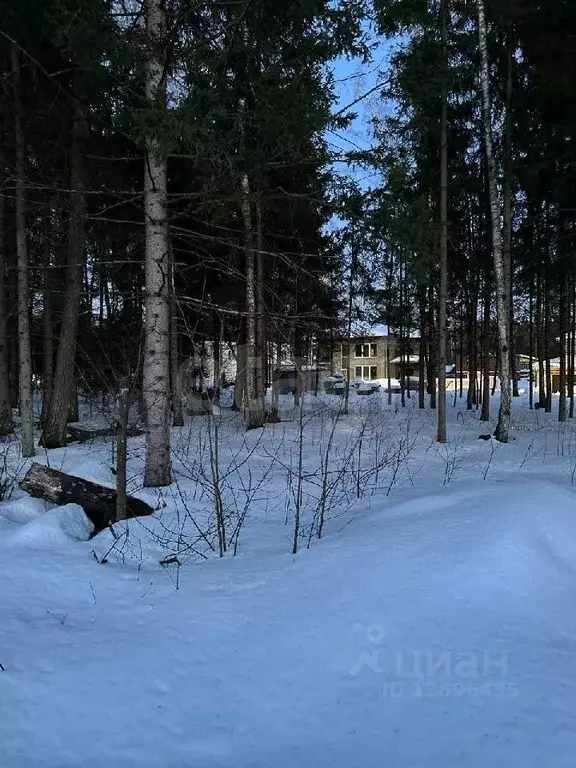 Участок в Московская область, Одинцовский городской округ, д. Сивково, ... - Фото 1