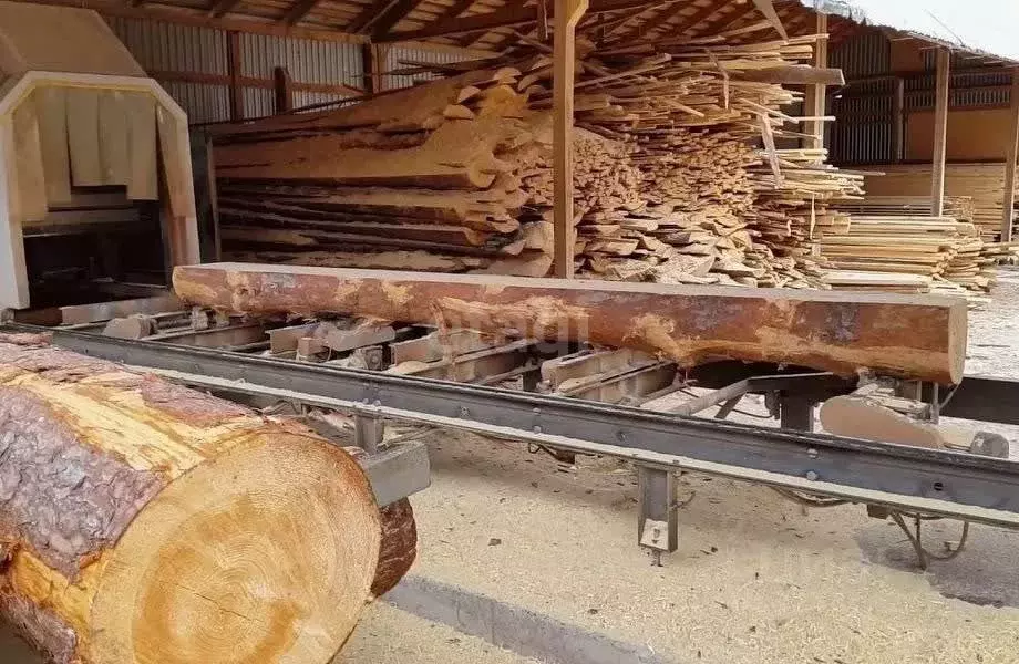 Склад в Пермский край, Березники муниципальный округ, д. Пешково ул. ... - Фото 1