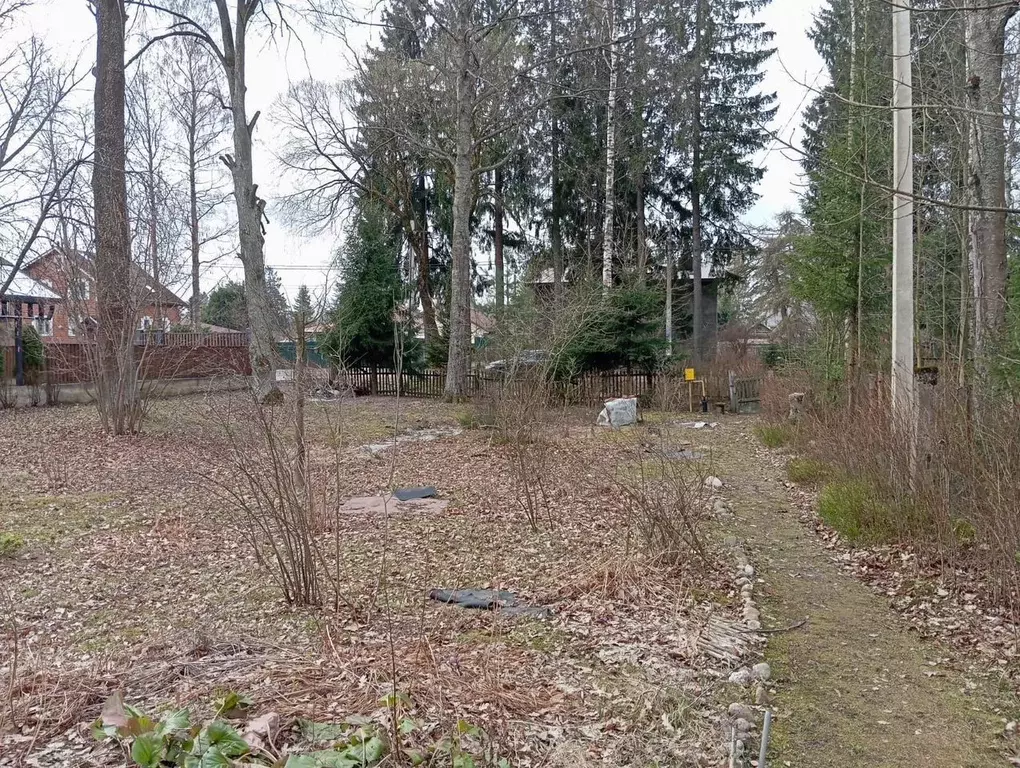 Дом в Санкт-Петербург пос. Песочный, Школьная ул., 6 (99 м) - Фото 2