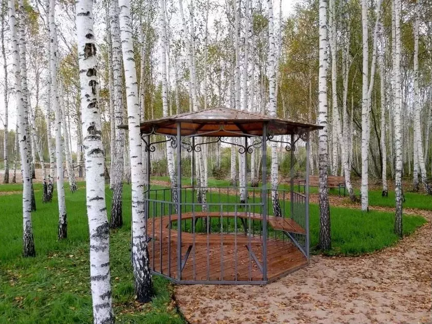 Участок 8 сот. (СНТ, ДНП) - Фото 0