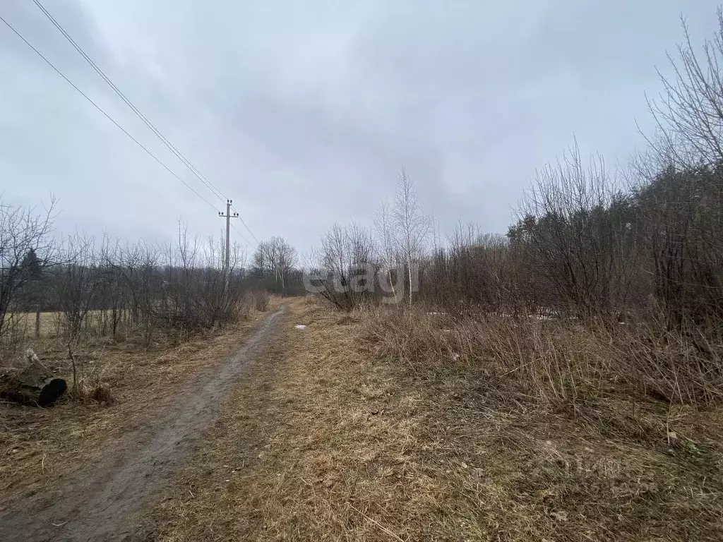 Участок в Тамбовская область, Тамбовский муниципальный округ, Новая ... - Фото 1