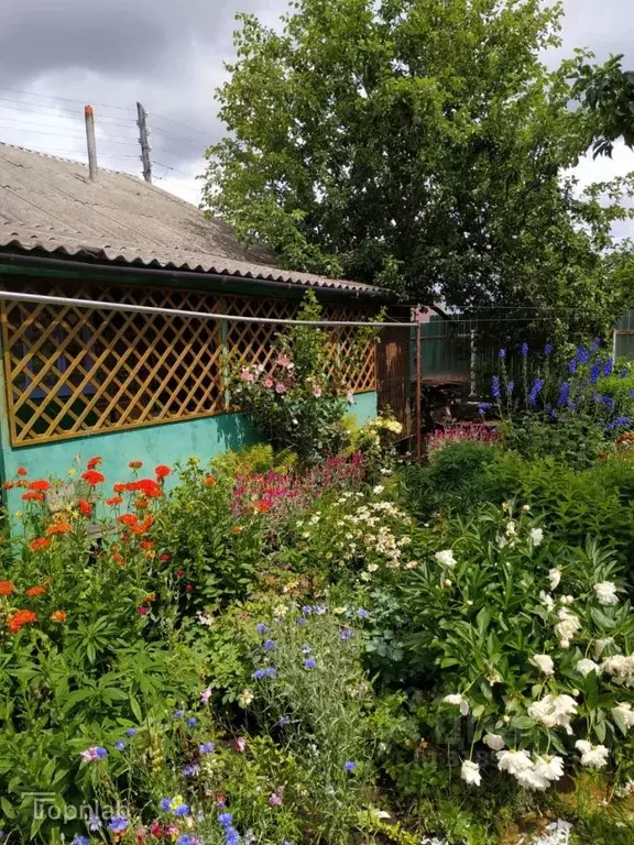 Дом в Тамбовская область, Тамбов Фестивальное СНТ,  (26 м) - Фото 1