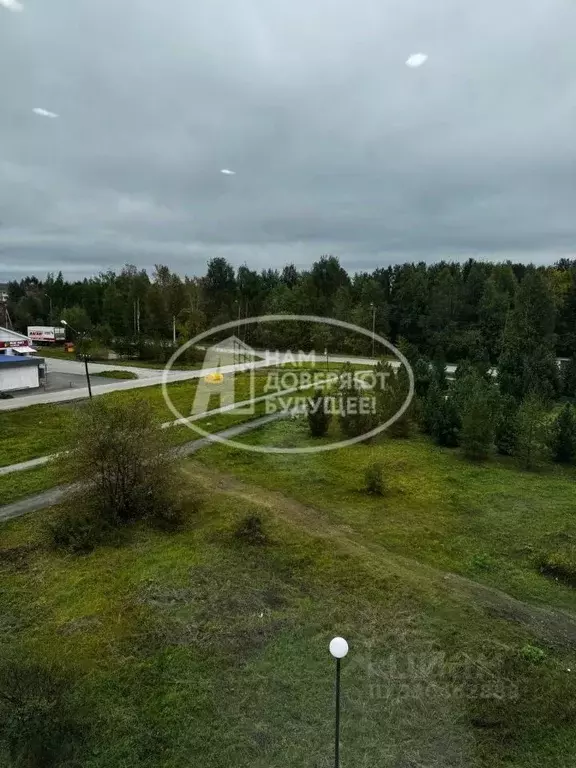 2-к кв. Пермский край, Лысьва ул. Гайдара, 3 (145.0 м) - Фото 2