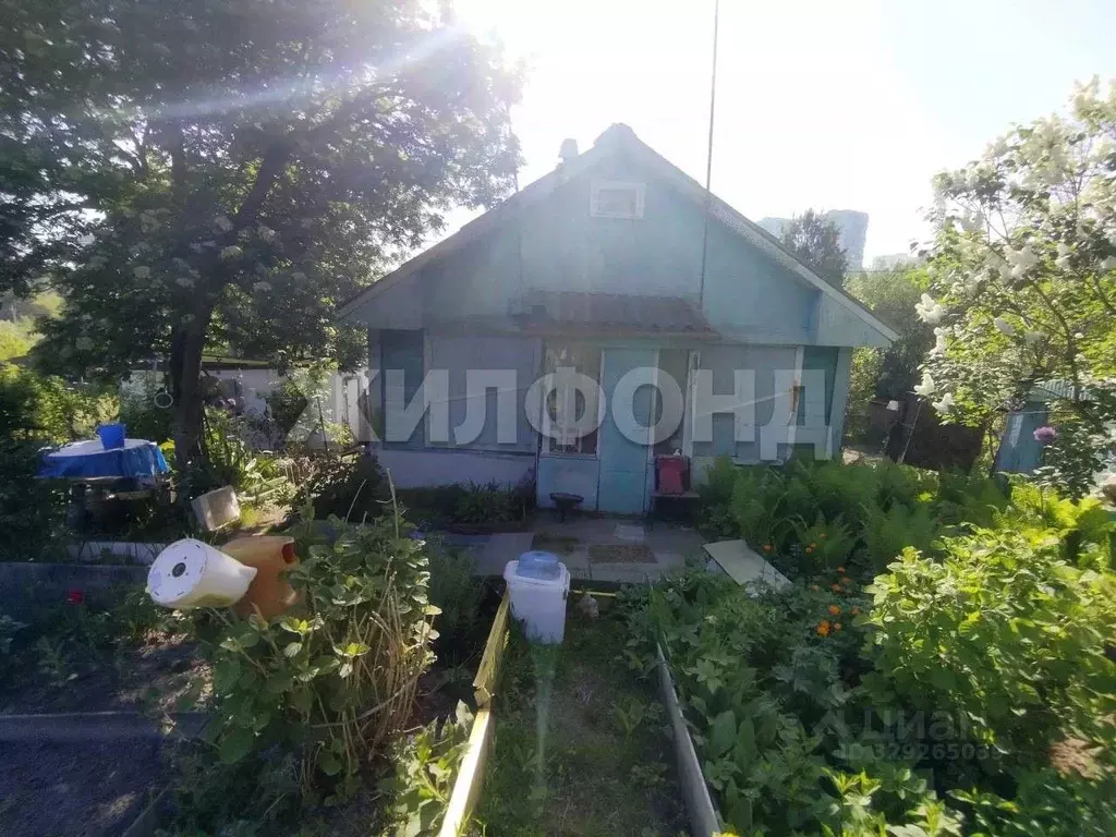 Участок в Новосибирская область, Новосибирск Рассвет-Октябрьский СНТ,  ... - Фото 1
