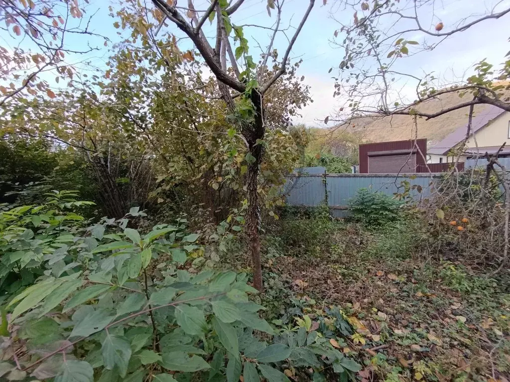 Участок в Краснодарский край, Туапсинский муниципальный округ, ... - Фото 1