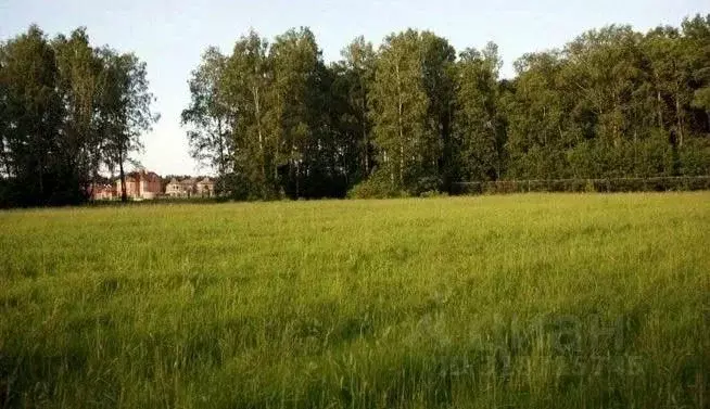 Участок в Московская область, Мытищи городской округ, д. Подольниха, ... - Фото 1