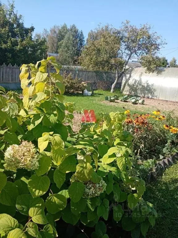 Дом в Ярославская область, Ярославский муниципальный округ, с. Дегтево ... - Фото 1