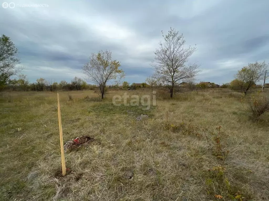 Участок в деревня Кайбалы, Спасская улица (12 м) - Фото 0