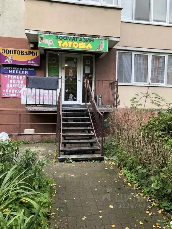 Торговая площадь в Калининградская область, Калининград ул. Олега ... - Фото 1