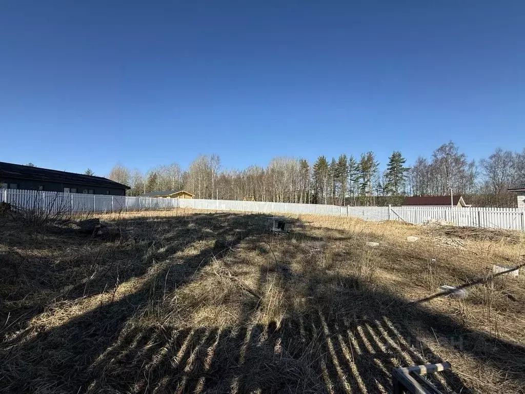 Участок в Ленинградская область, Приозерский район, Раздольевское ... - Фото 2