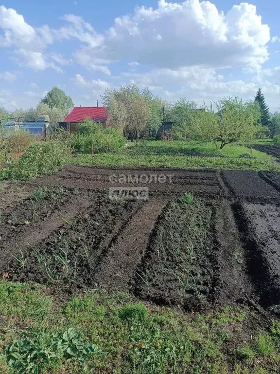 Участок в Алтайский край, Барнаул Совхозная ул. (10.0 сот.) - Фото 1