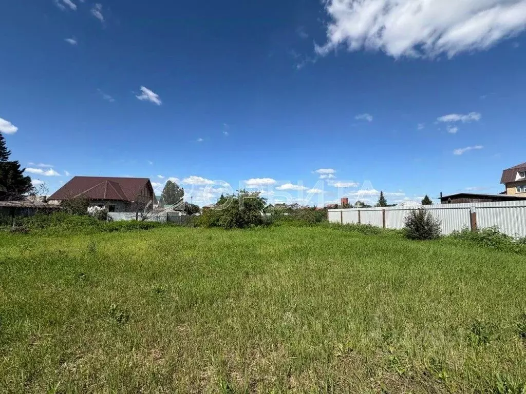 Участок в Тюменская область, Тюменский муниципальный округ, Винзили рп ... - Фото 2