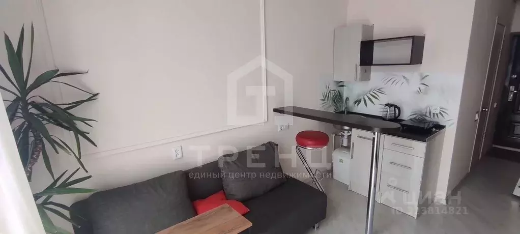 Студия Санкт-Петербург Московский просп., 186 (19.0 м) - Фото 1