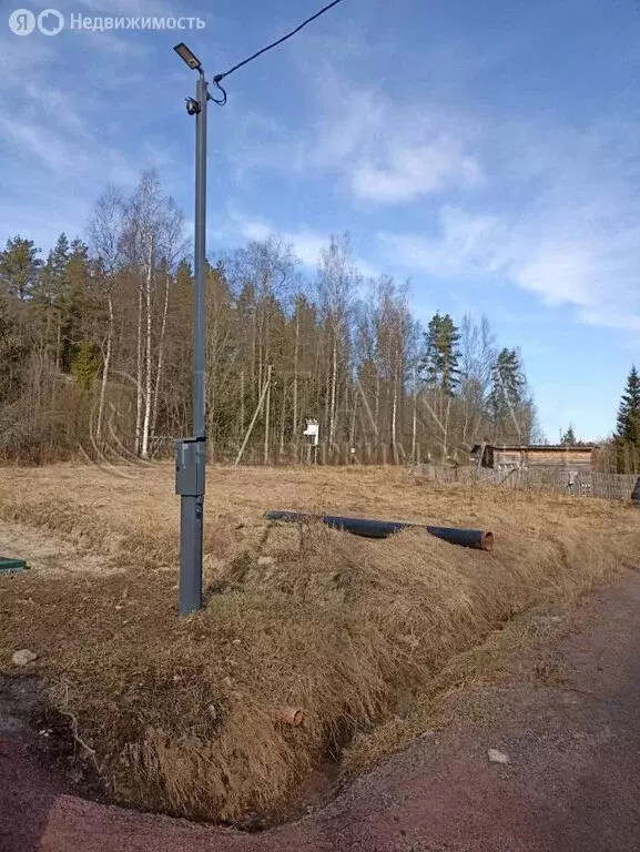 Участок в Выборгский район, Каменногорское городское поселение, СНТ ... - Фото 2