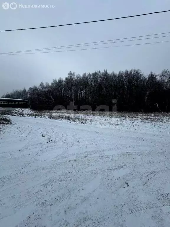 Участок в Тульская область, городской округ Тула, посёлок Ильинка, ... - Фото 0