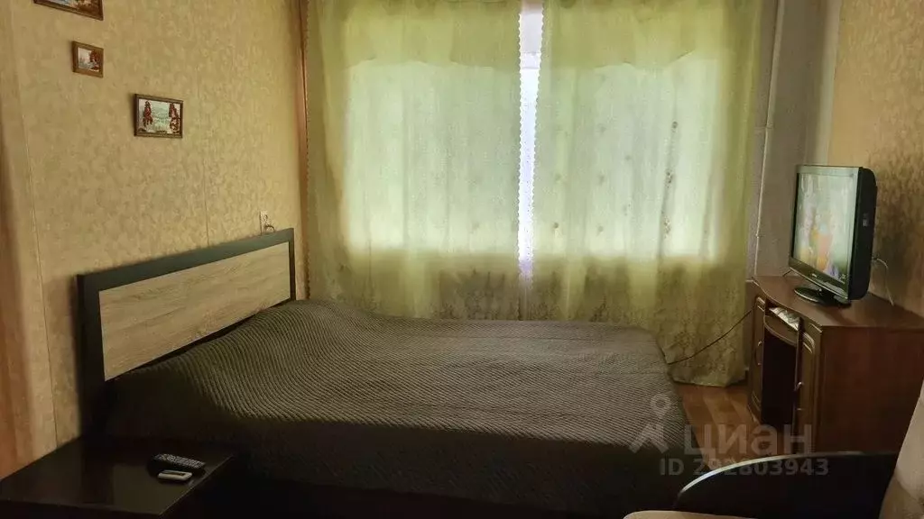 1-к кв. Псковская область, Псков ул. Некрасова, 4 (30.0 м) - Фото 1