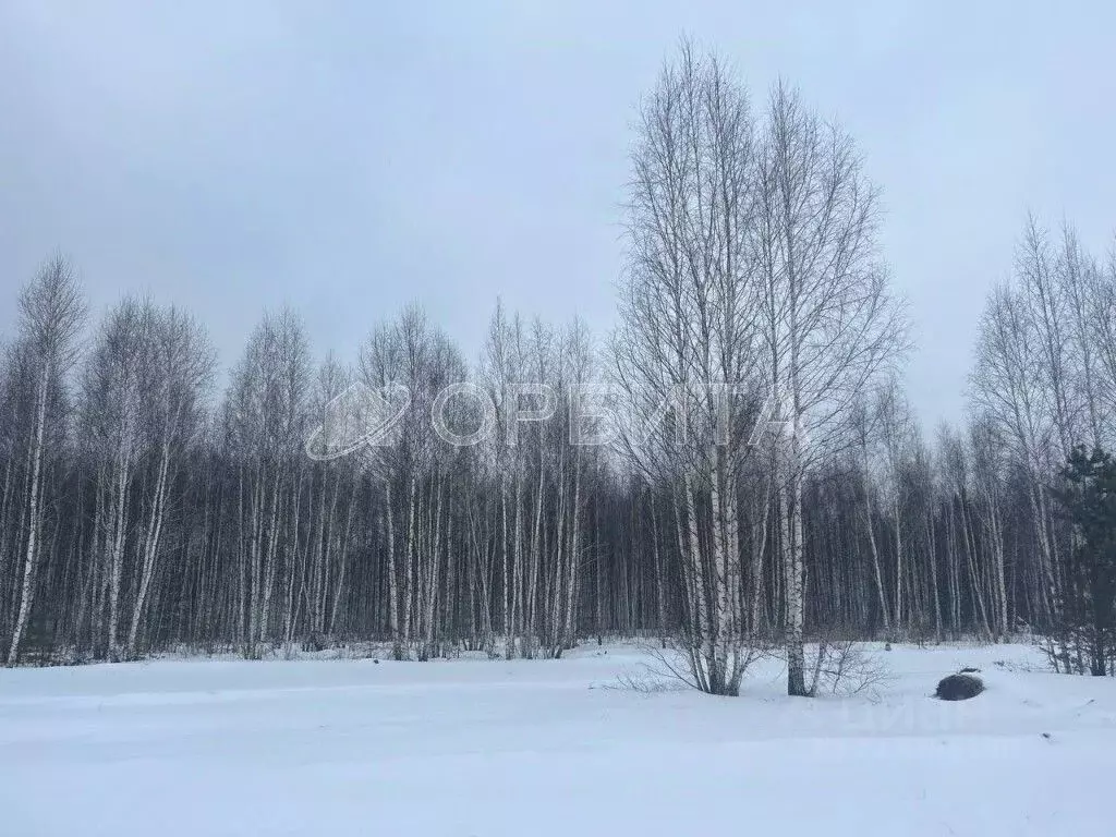 Участок в Тюменская область, Тюменский район, д. Марай  (7.5 сот.) - Фото 1