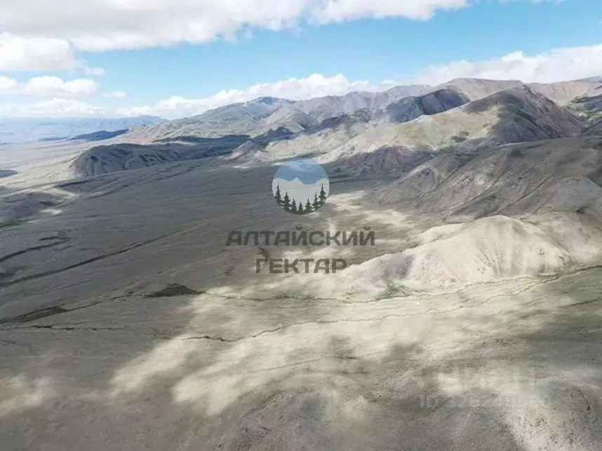 Участок в Алтай, Кош-Агачский район, с. Теленгит-Сортогой  (1016.0 ... - Фото 1