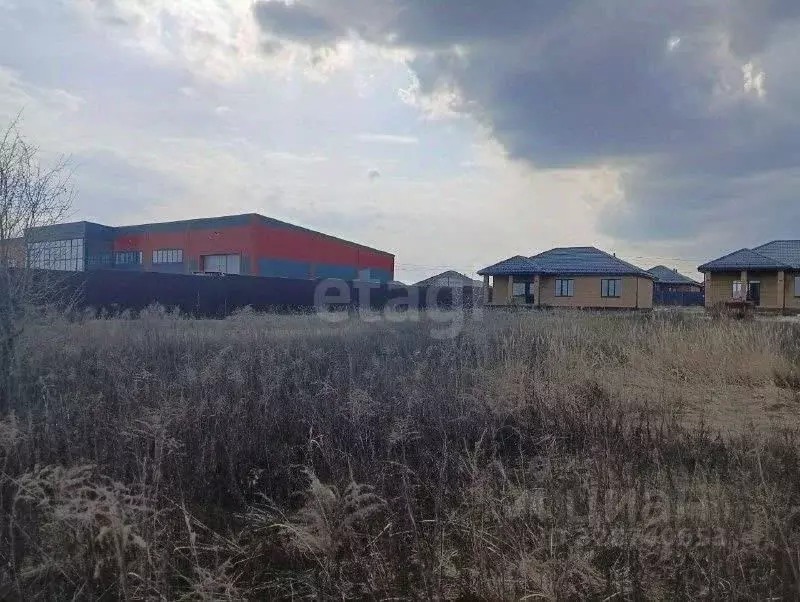 Участок в Курская область, Курский район, Моковский сельсовет, д. 1-я ... - Фото 2