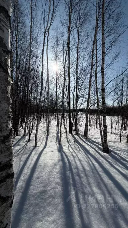 Участок в Московская область, Раменский муниципальный округ, с. ... - Фото 1