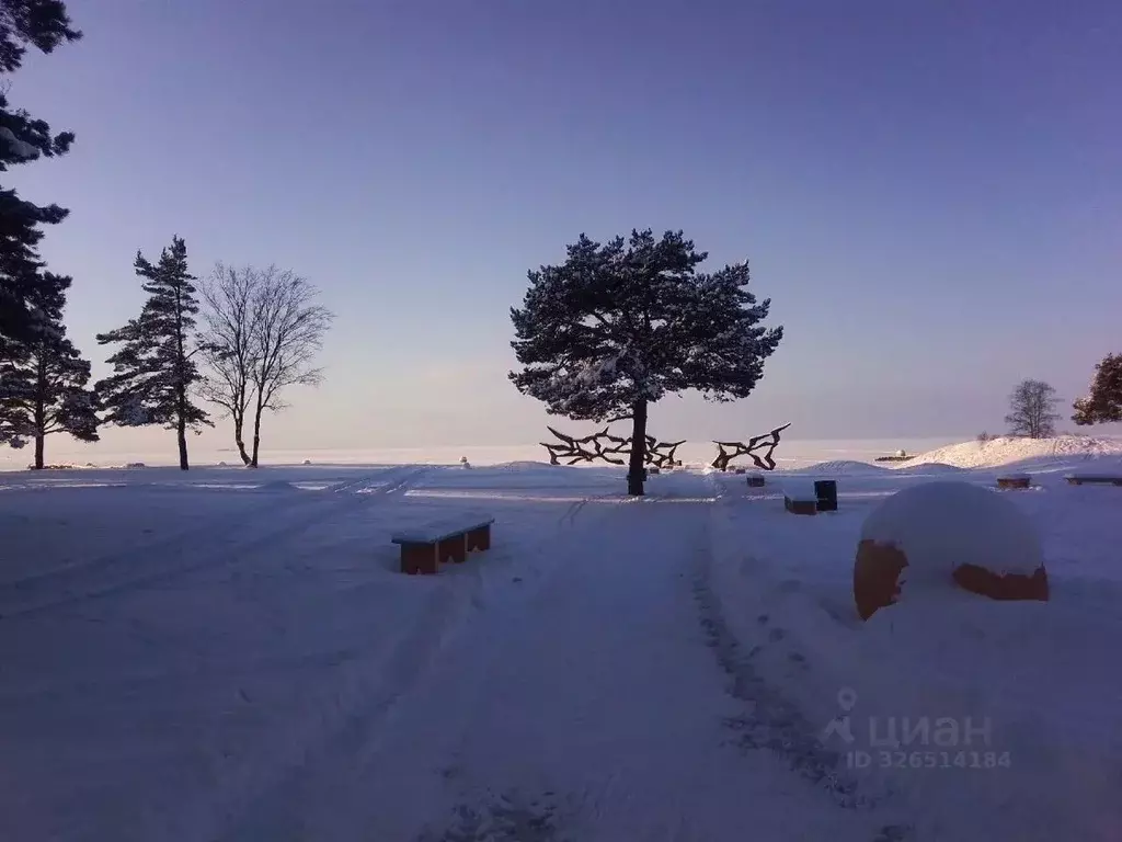 Участок в Санкт-Петербург пос. Солнечное,  (20.0 сот.) - Фото 2