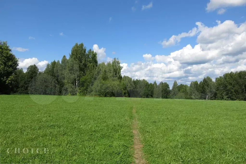 Участок 60 сот. (ИЖС) - Фото 1