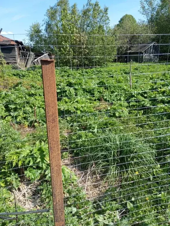 Участок в Нижегородская область, Сосновский муниципальный округ, д. ... - Фото 2