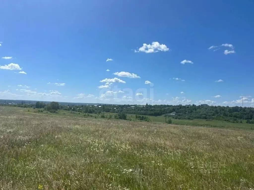 Участок в Воронежская область, Рамонский район, с. Русская Гвоздевка ... - Фото 1