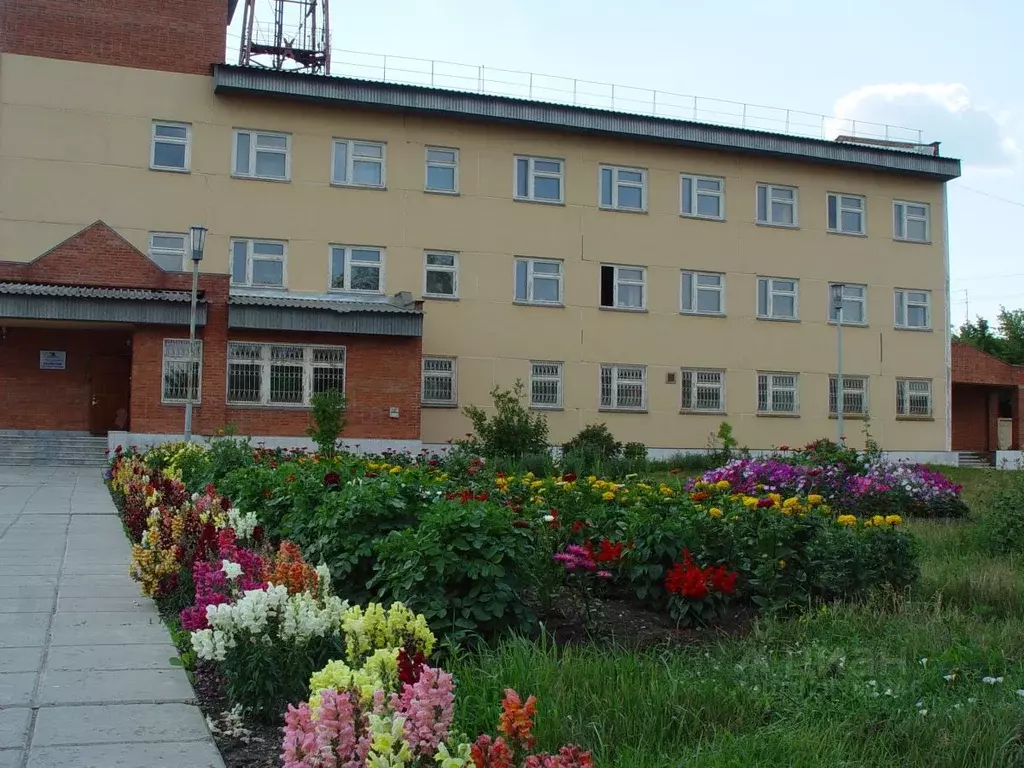 Помещение свободного назначения в Челябинская область, Касли ул. ... - Фото 1
