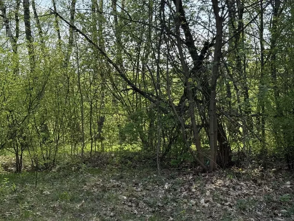 Участок в Московская область, Кашира городской округ, д. Завалье-1  ... - Фото 1