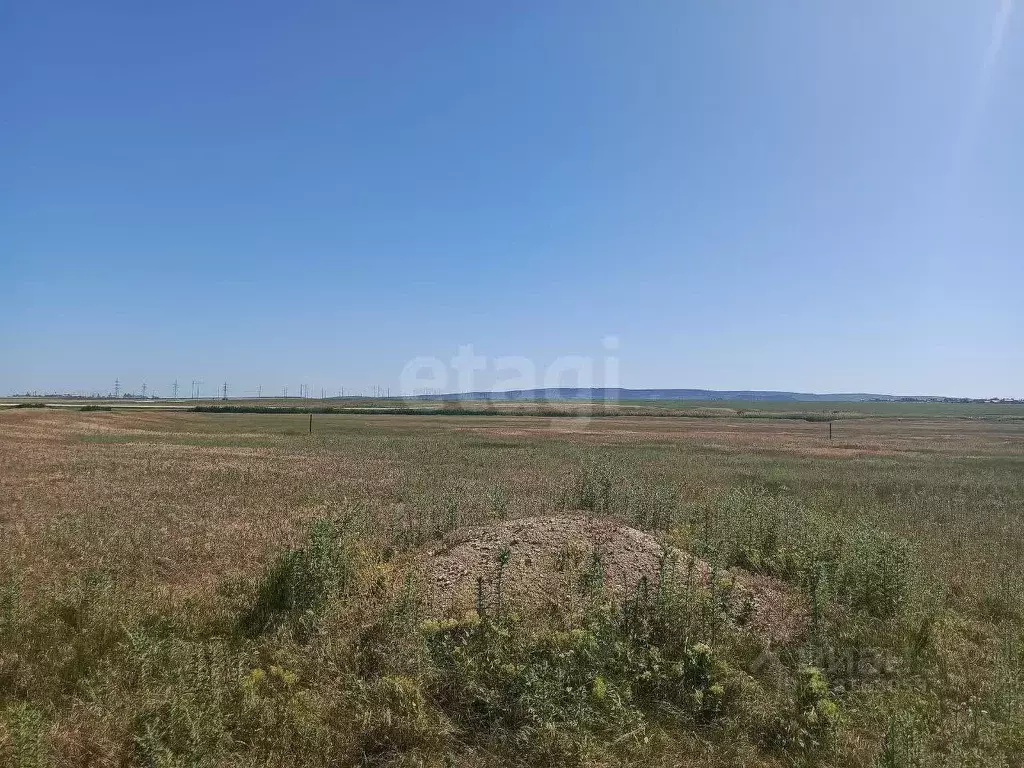 Участок в Крым, Феодосия муниципальный округ, с. Степное ул. Степная ... - Фото 0