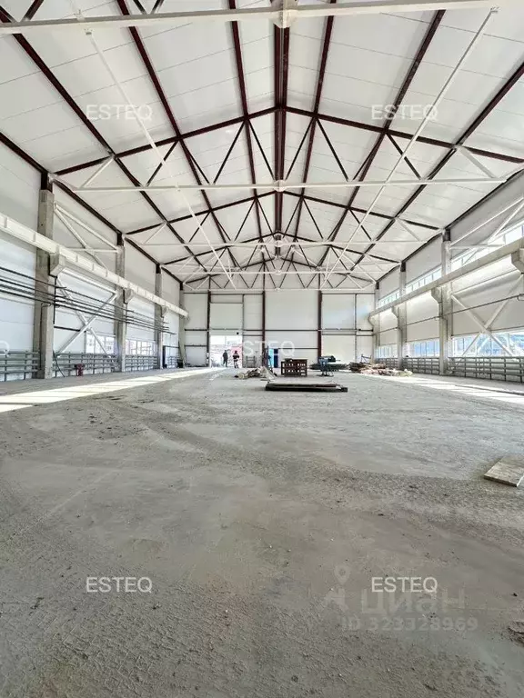 Склад в Новосибирская область, Новосибирск Станционная ул., 30Ак15 ... - Фото 1