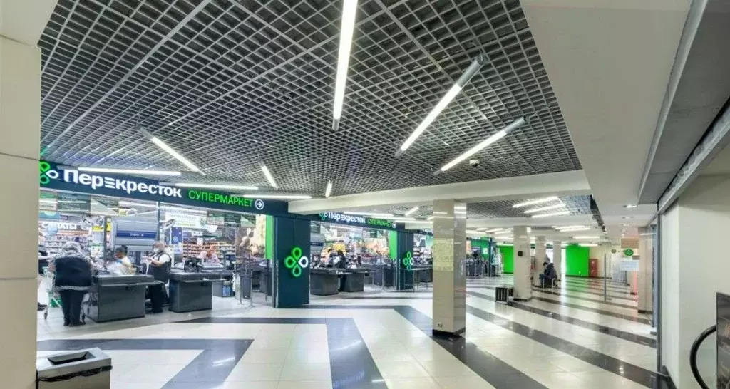 Помещение свободного назначения в Санкт-Петербург просп. Косыгина, ... - Фото 1