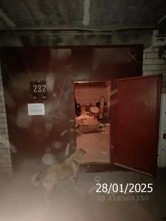 Помещение свободного назначения в Нижегородская область, Нижний ... - Фото 0