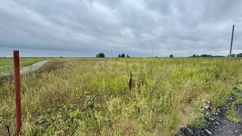 Участок в Свердловская область, Тугулымский муниципальный округ, с. ... - Фото 2