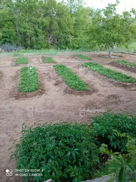 Дом в Волгоградская область, Светлоярский район, Червленовское с/пос, ... - Фото 1