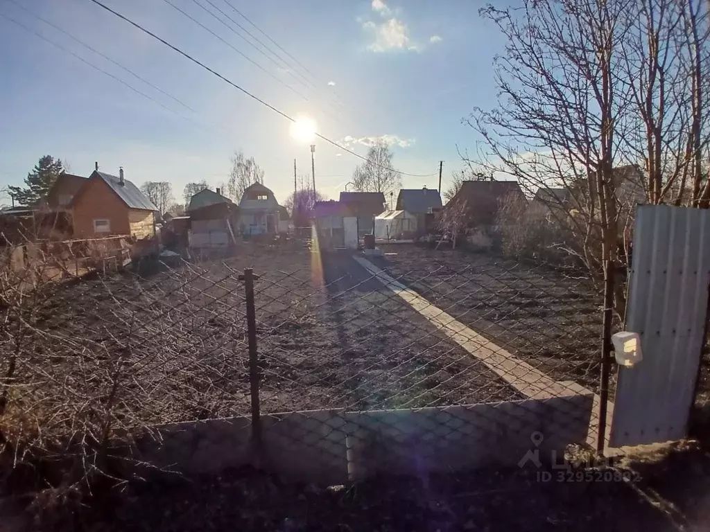 Участок в Новосибирская область, Новосибирск Кедр СНТ,  (450.0 сот.) - Фото 1