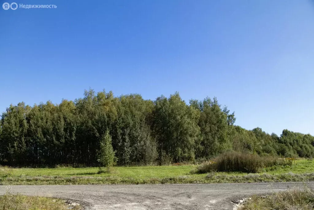 Участок в Московская область, Раменский муниципальный округ, КП Ист ... - Фото 1
