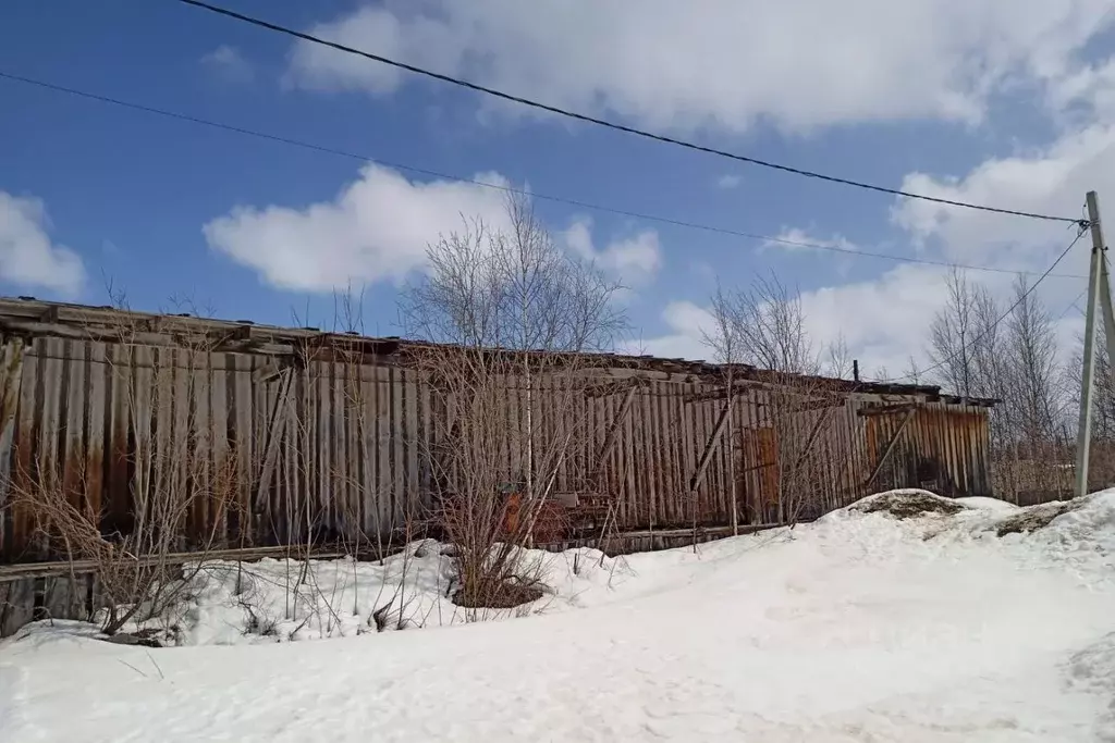 Помещение свободного назначения в Ямало-Ненецкий АО, Красноселькупский ... - Фото 2