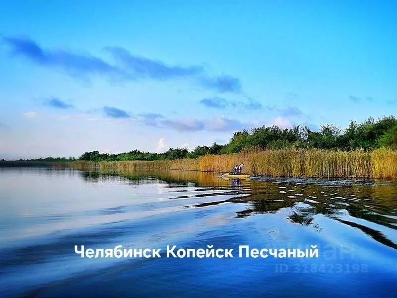 Участок в Челябинская область, Красноармейский муниципальный округ, ... - Фото 0