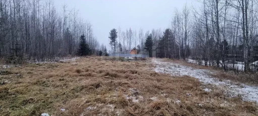 Участок в Ханты-Мансийский АО, Ханты-Мансийск Дружба СОТ,  (9.0 сот.) - Фото 2