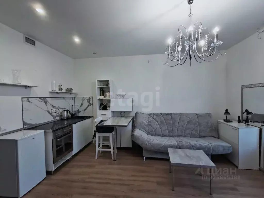 Студия Московская область, Одинцово ул. Каштановая, 11 (25.3 м) - Фото 1