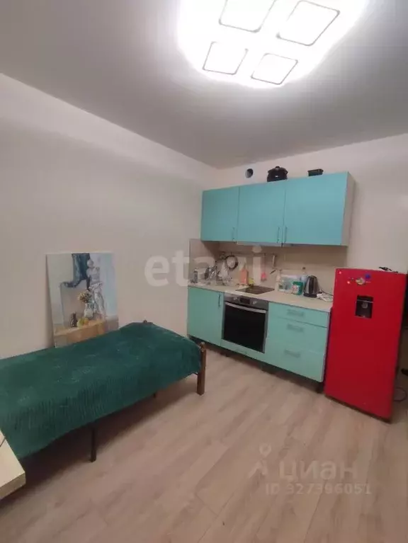 Студия Воронежская область, Новоусманский район, пос. Отрадное ул. ... - Фото 1