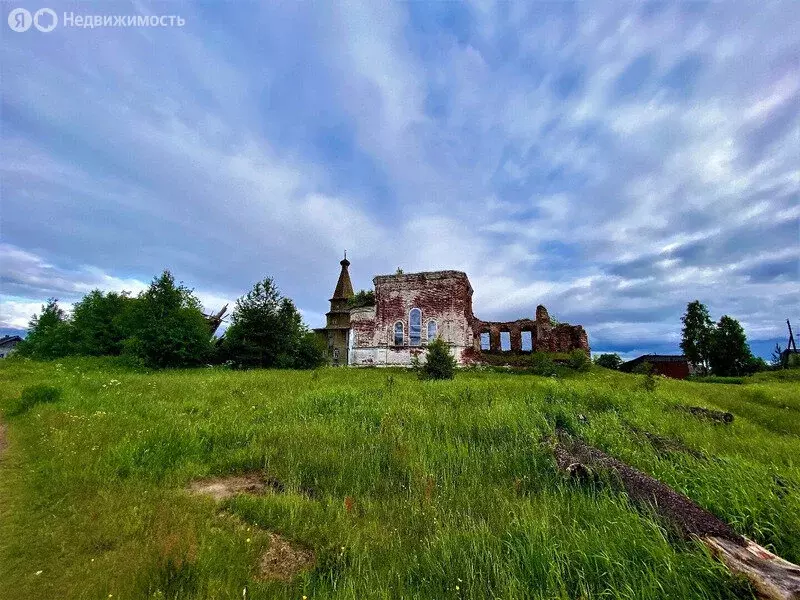 Участок в Архангельская область, Шенкурский муниципальный округ, ... - Фото 1