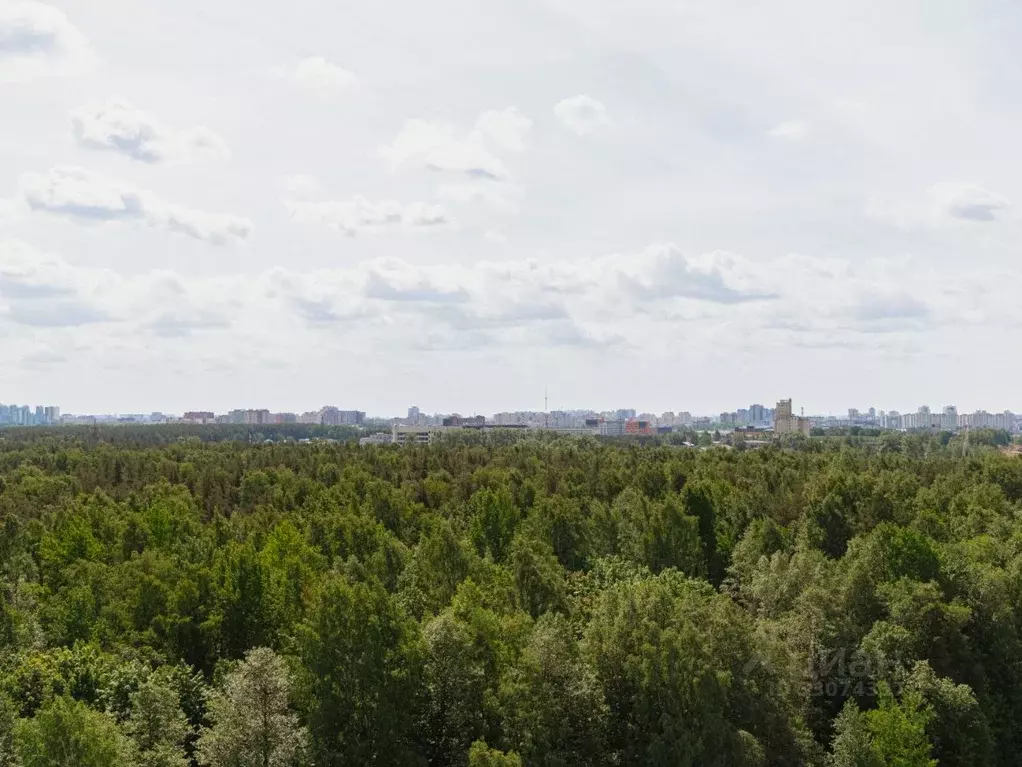 Студия Санкт-Петербург наб. Реки Каменки, 23 (22.0 м) - Фото 1