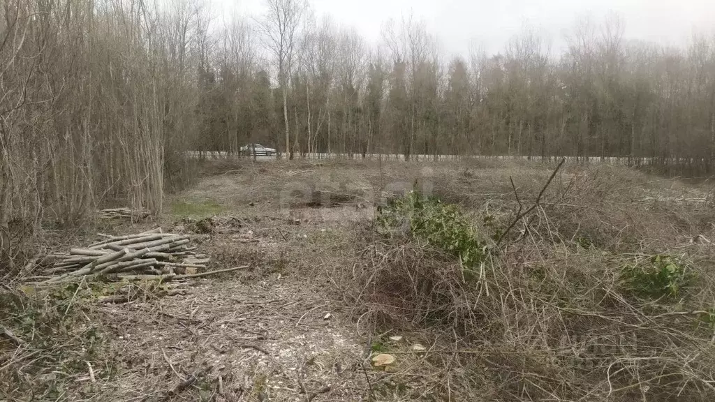 Участок в Краснодарский край, Геленджик городской округ, с. ... - Фото 1