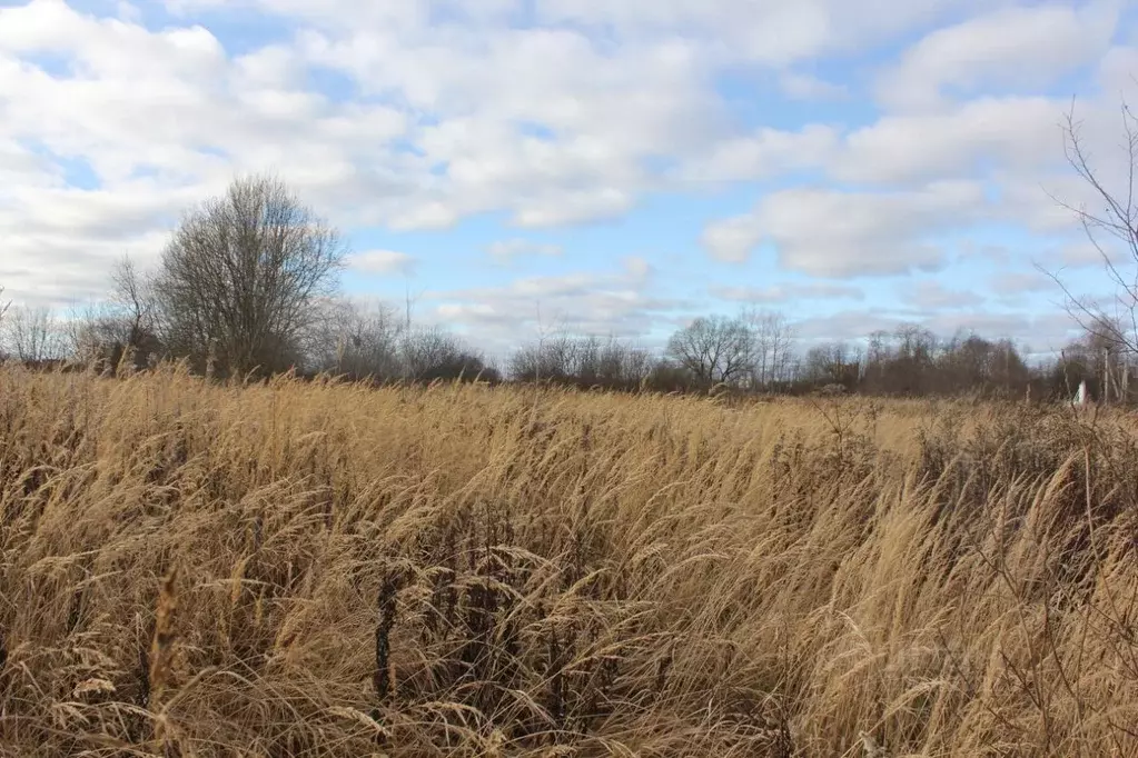 Участок в Москва д. Кузнецово, ул. Березовая (19.56 сот.) - Фото 1