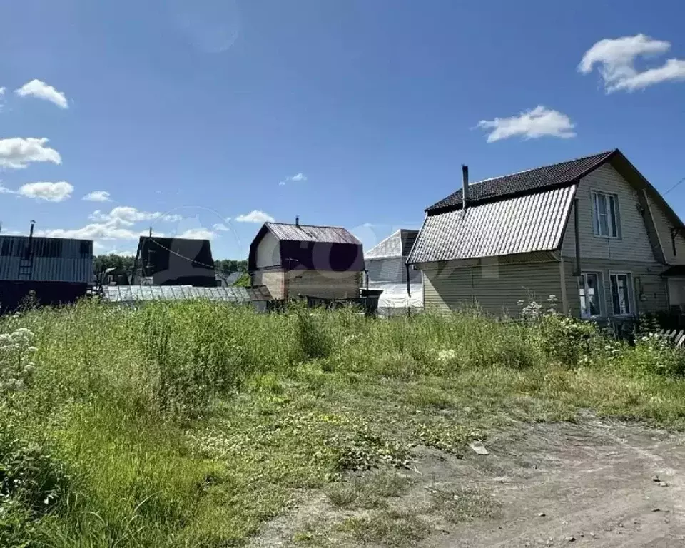 Участок в Курганская область, Кетовский муниципальный округ, Ясная ... - Фото 2