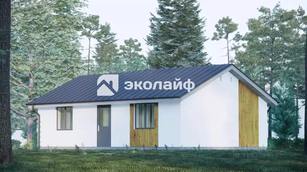 Дом в Владимирская область, Суздальский район, Боголюбовское ... - Фото 1