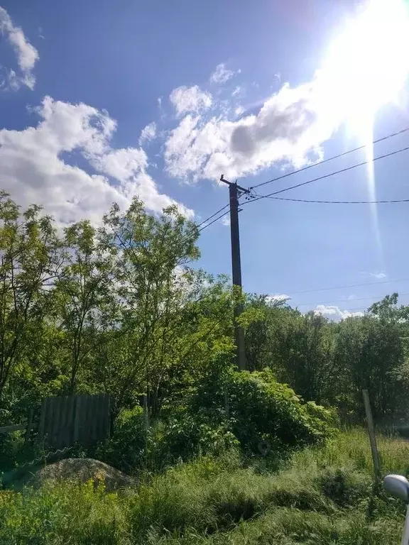 Участок в Краснодарский край, Северский район, Черноморское городское ... - Фото 0